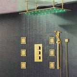 Fontana Showers Fontana 20"x 40" Martinique Large Gold Solid Brass LED Rain Showerhead System FS147G