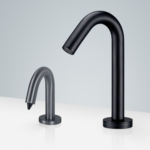 Fontana Showers Bavaria Gooseneck Commercial Faucet & Soap Dispenser FS18295