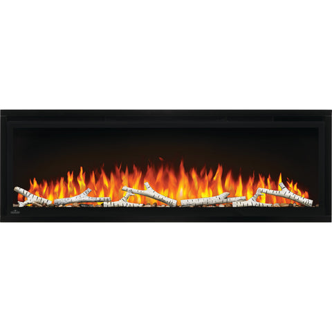 Napoleon Entice 50" Wall Hanging Electric Fireplace NEFL50CFH