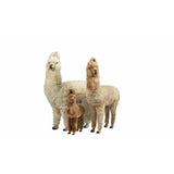 Fibre by Auskin Mix of 24 Small, 12 Medium and 6 Large per purchase Alpaca Collectibles TYPHAG