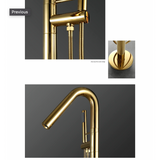 Fontana Showers Fontana Geneva Full Solid Brass Standing Titanium Gold Finish Bathroom Bathtub Tap Mixer Faucet FS1382TG